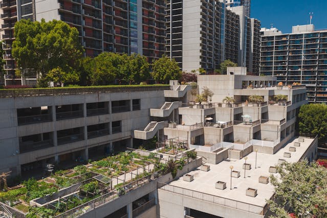 Cómo empezar un huerto urbano en espacios pequeños